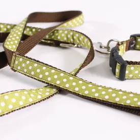 Dog Leash & Collar Marley